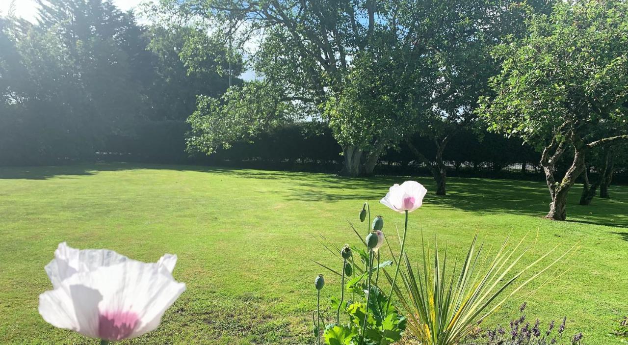 Hope Orchard Panzió Cheltenham Kültér fotó