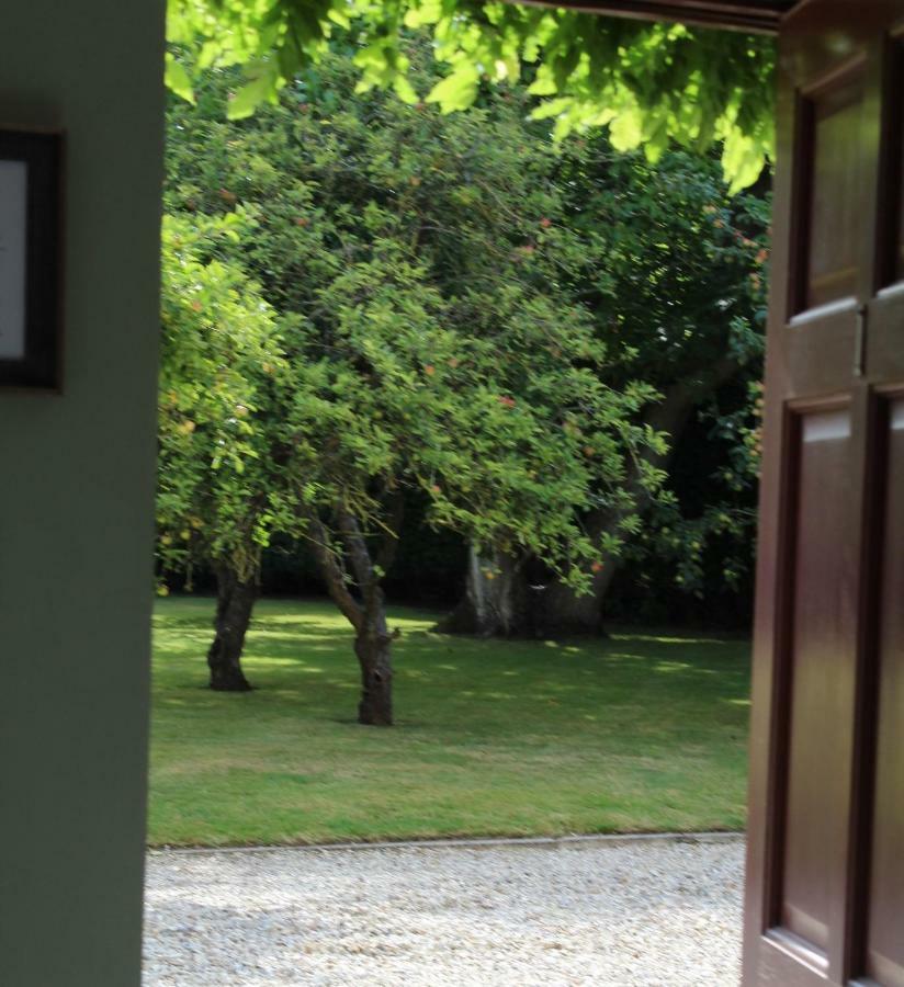Hope Orchard Panzió Cheltenham Kültér fotó